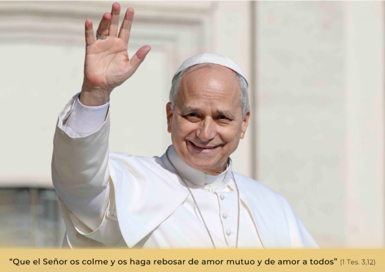Cartel anunciador de la jornada del obolo donde se ve al Papa León XIV saludando desde el Papa Movil en la plaza de San Pedro
